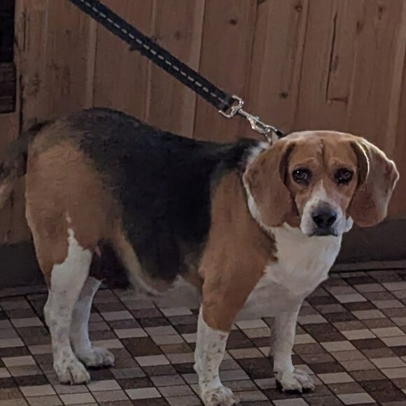 @catjines Like this post so that you will know when I go live, Cathy - Picture 14 of 16